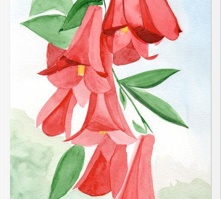 Cuadro Copihues