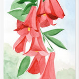 Cuadro Copihues