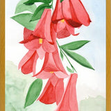 Cuadro Copihues