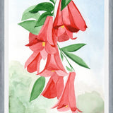 Cuadro Copihues