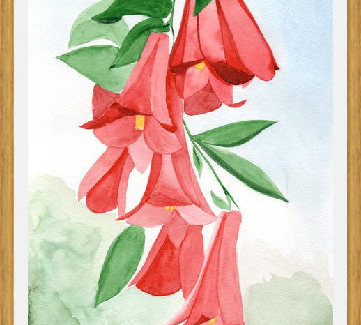 Cuadro Copihues
