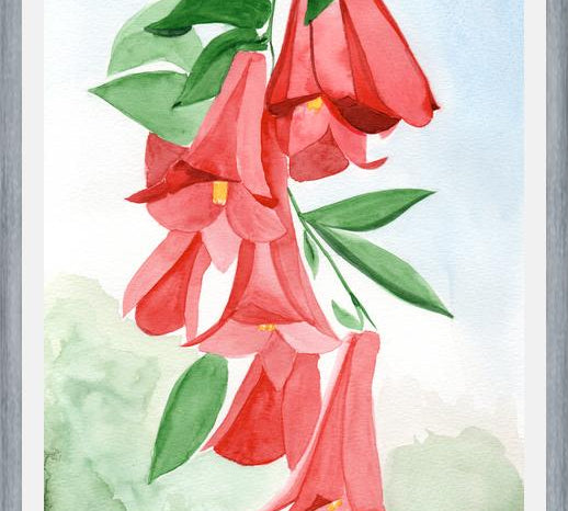 Cuadro Copihues