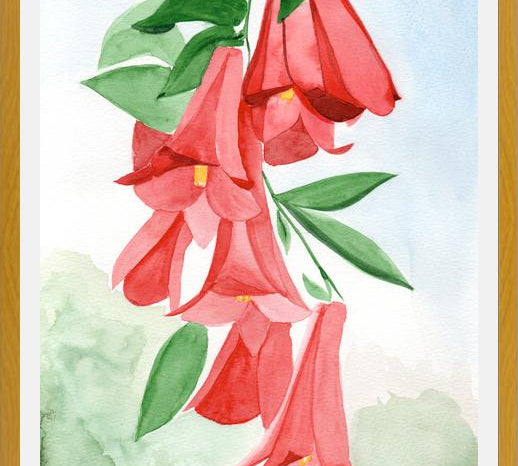 Cuadro Copihues