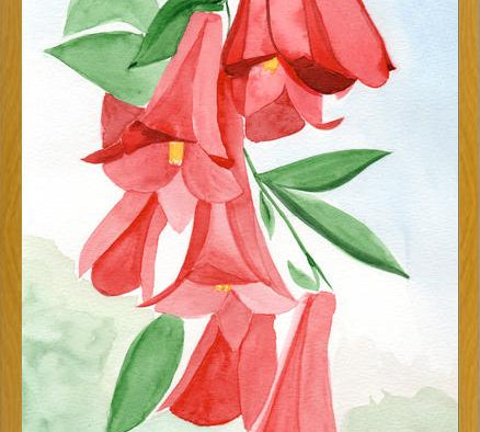 Cuadro Copihues