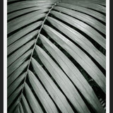 Cuadro Greenery I