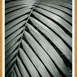 Cuadro Greenery I