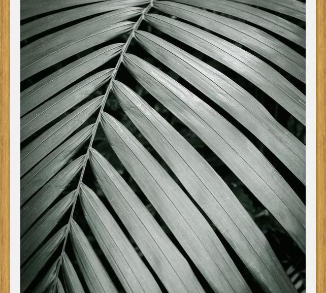 Cuadro Greenery I