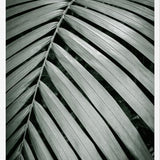 Cuadro Greenery I