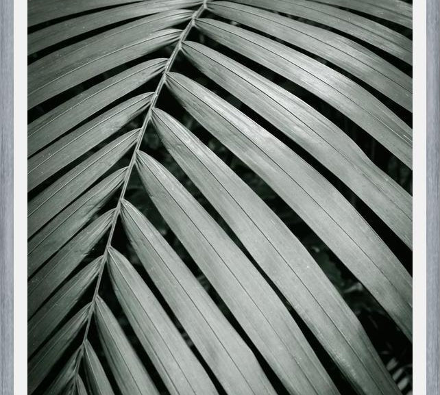 Cuadro Greenery I