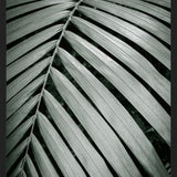 Cuadro Greenery I
