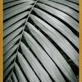 Cuadro Greenery I