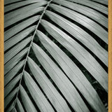 Cuadro Greenery I