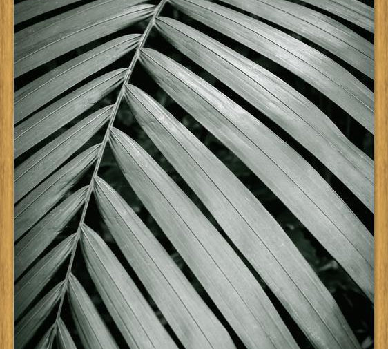 Cuadro Greenery I