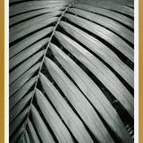 Cuadro Greenery I