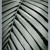 Cuadro Greenery I