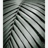 Cuadro Greenery I
