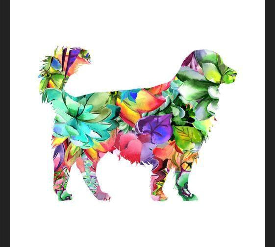 Cuadro Watercolor Dog Succulents
