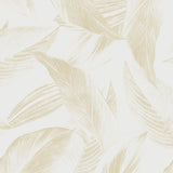 Papel Mural Tropical leaves in foggy forest