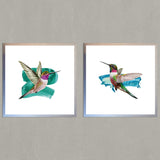 Set de Cuadros Modern Hummingbird