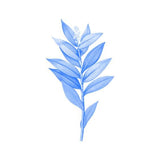 Canvas Blue Plant
