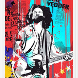 Cuadro Eddie Vedder pop art