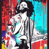 Cuadro Eddie Vedder pop art