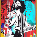 Cuadro Eddie Vedder pop art