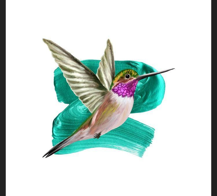 Cuadro Modern Hummingbird