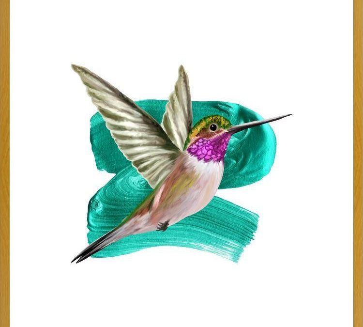 Cuadro Modern Hummingbird