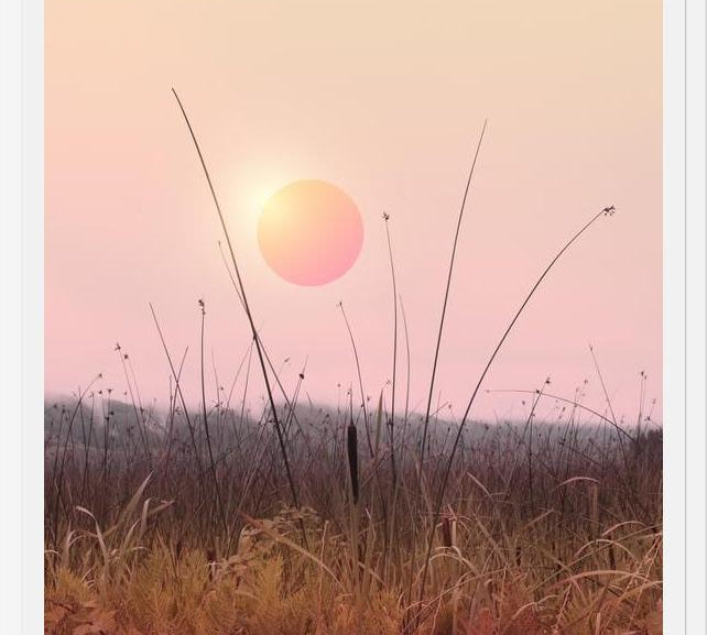Cuadro Landscape & gradients XII