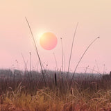 Canvas Landscape & gradients XII