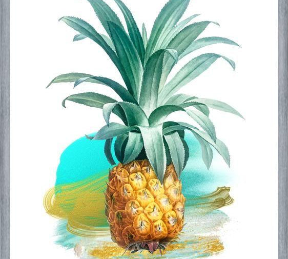 Cuadro The Pineapple II