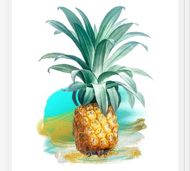 Cuadro The Pineapple II