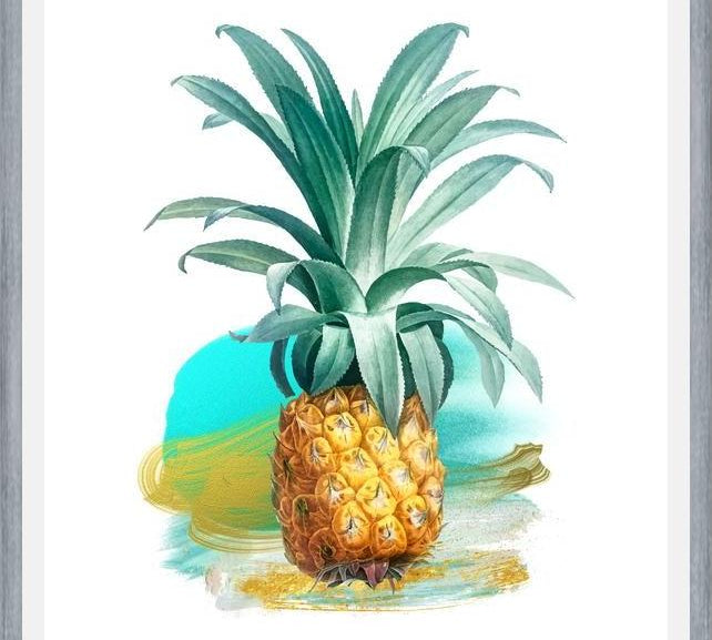 Cuadro The Pineapple II