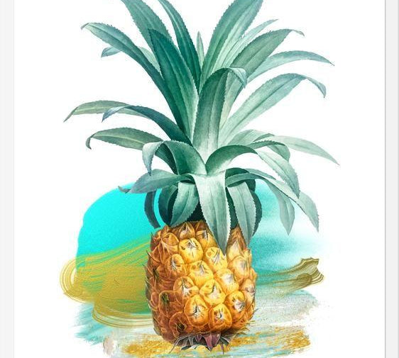 Cuadro The Pineapple II