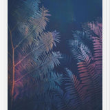 Cuadro Abstract Fern