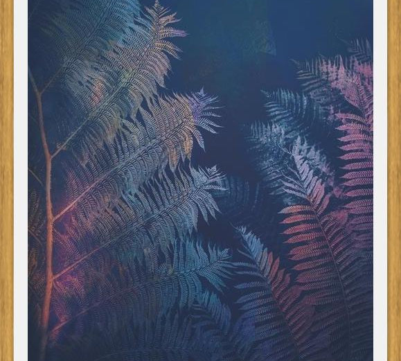 Cuadro Abstract Fern