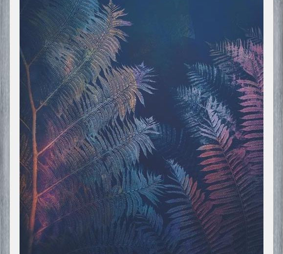 Cuadro Abstract Fern