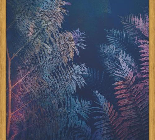 Cuadro Abstract Fern