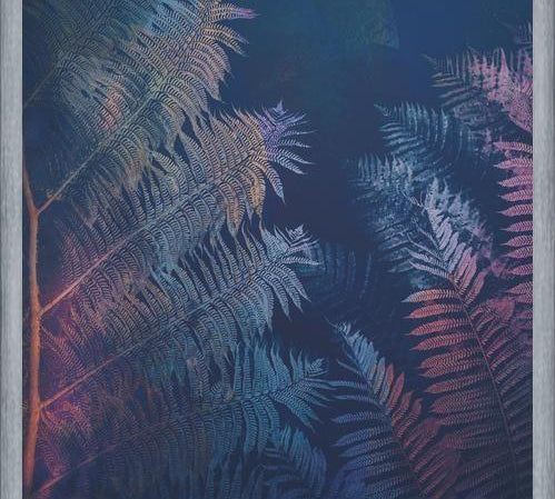 Cuadro Abstract Fern