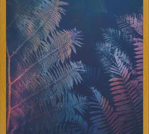 Cuadro Abstract Fern