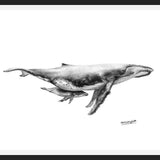 Cuadro Ballenas Jorobadas
