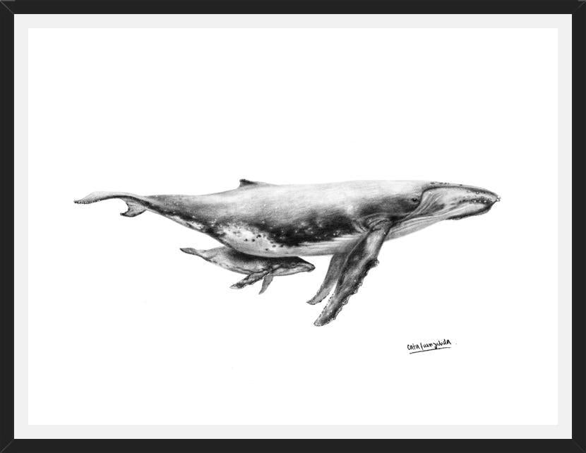 Cuadro Ballenas Jorobadas