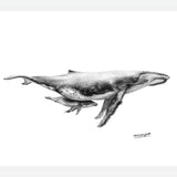 Cuadro Ballenas Jorobadas