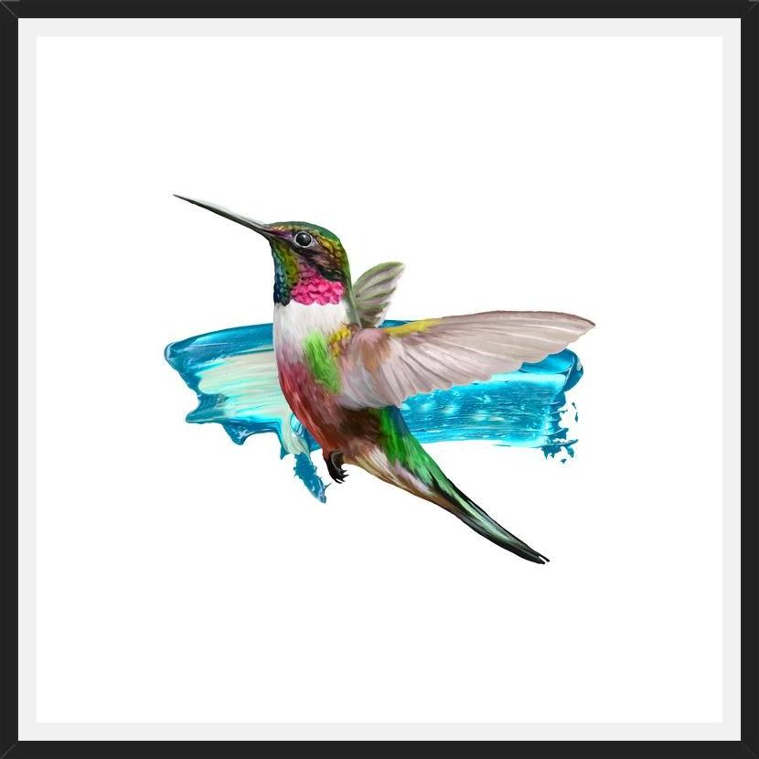 Cuadro Modern Hummingbird II