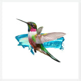 Cuadro Modern Hummingbird II