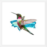 Cuadro Modern Hummingbird II