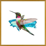 Cuadro Modern Hummingbird II