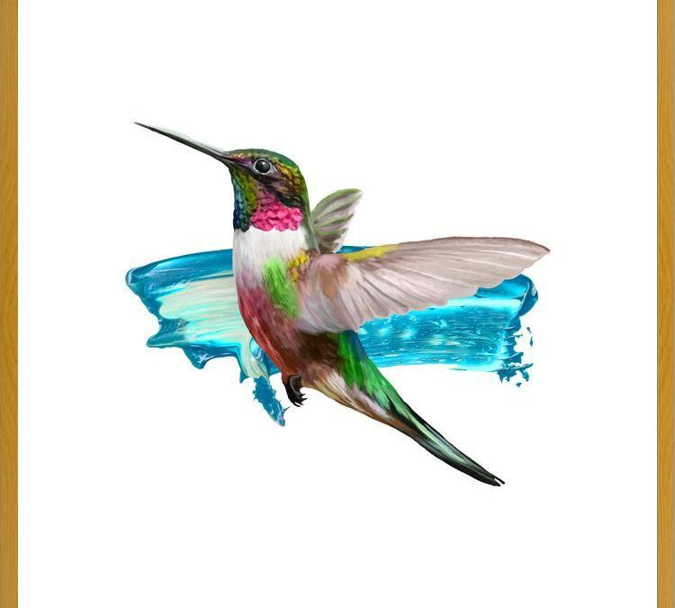 Cuadro Modern Hummingbird II