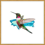 Cuadro Modern Hummingbird II